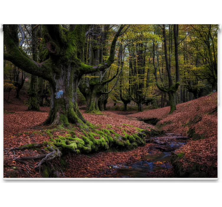 Tenda a rullo alberi bosco autunnale incantato - TenStickers