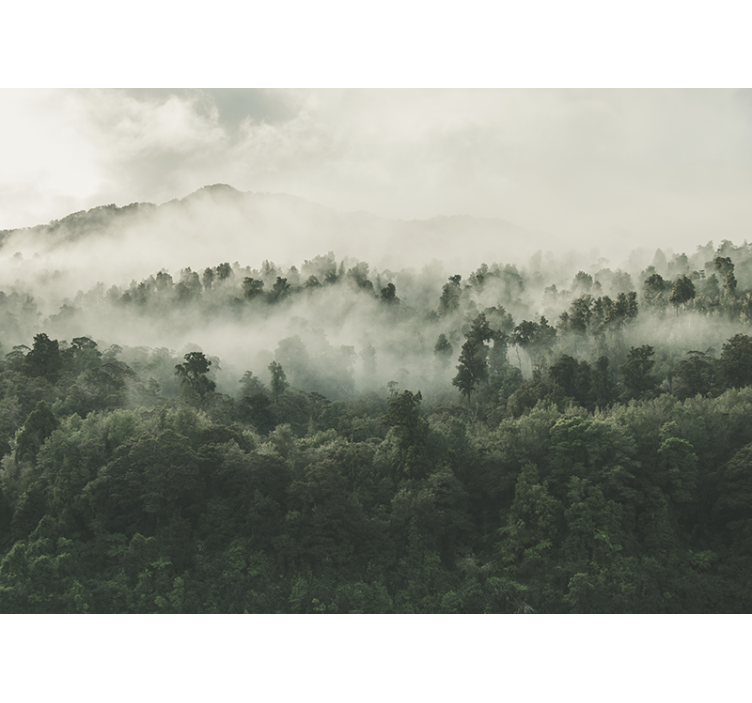 Tenda a rullo cucina foresta con nebbia dall'alto - TenStickers