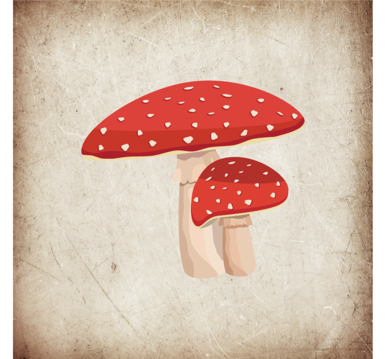 Tenda a rullo cucina illustrazione fungo amanita - TenStickers