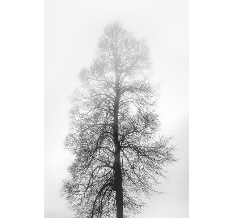Tenda a rullo sala da pranzo  alberi Scala di grigi - TenStickers