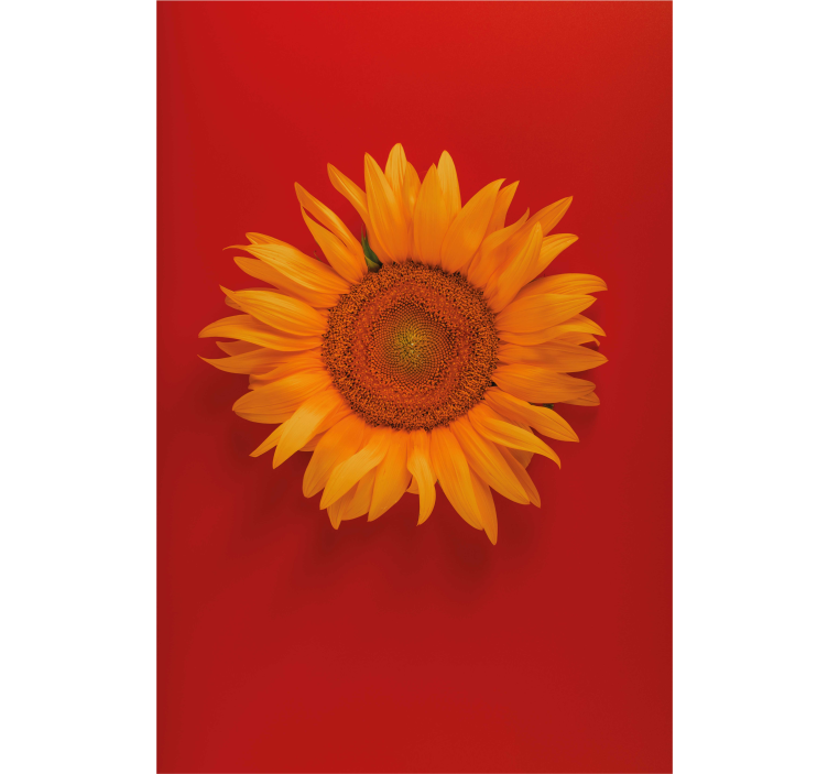 Tenda a rullo floreale Girasole rosso arancio - TenStickers
