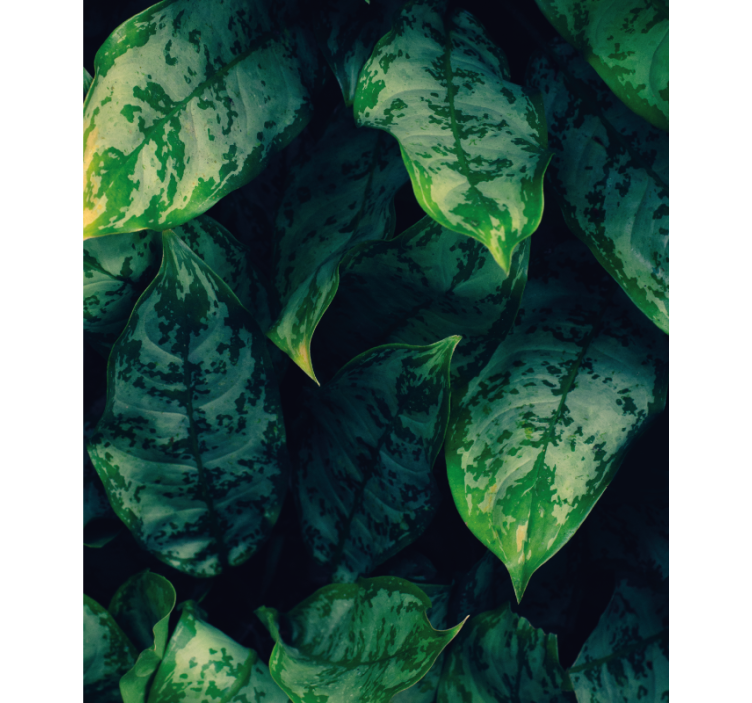 Tenda a rullo fiori e piante foglie verdi vibranti - TenStickers