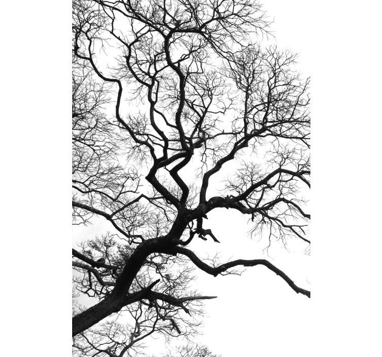 Tenda a rullo con disegni Rottura di un singolo ramo di legno - TenStickers