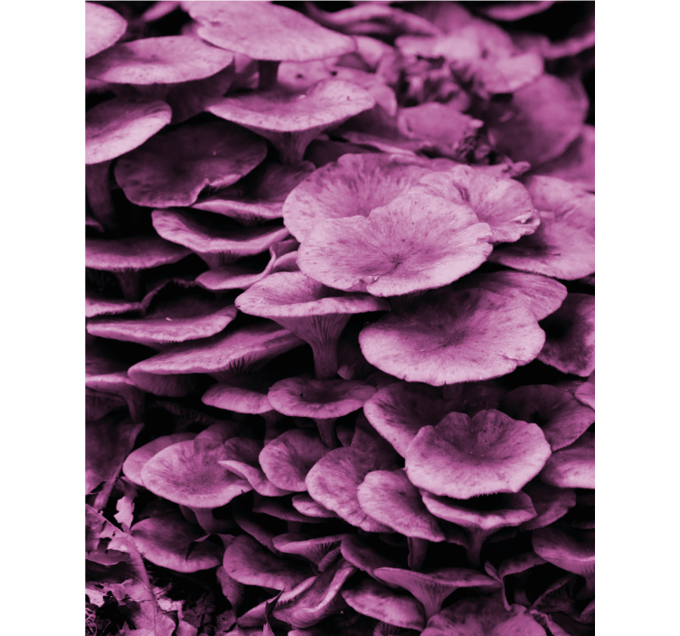 Tenda a rullo fiori e piante strati floreali vibranti - TenStickers