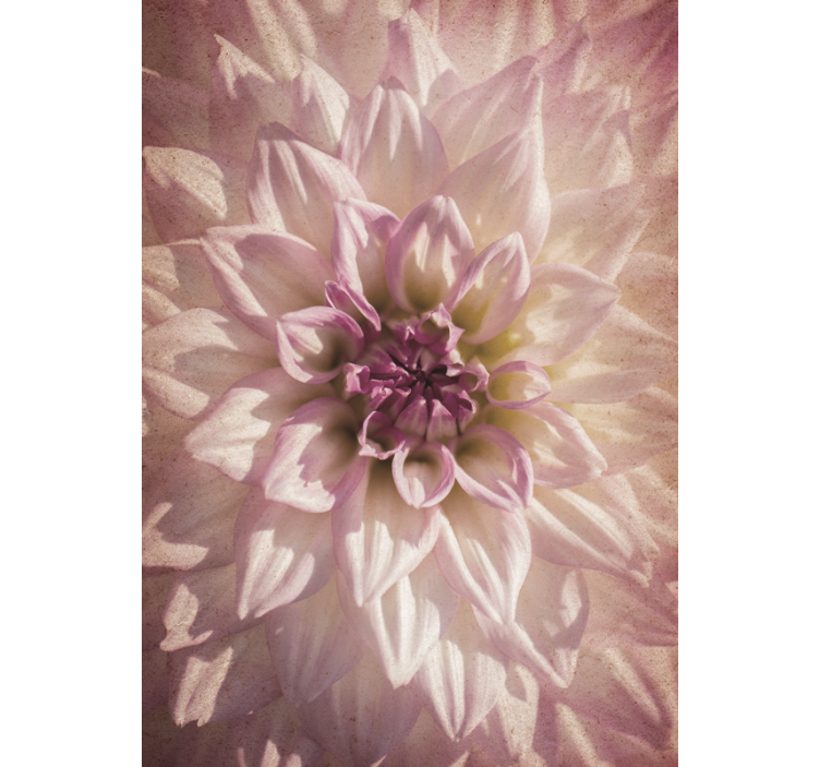 Tenda a rullo fiori e piante delicata fioritura - TenStickers