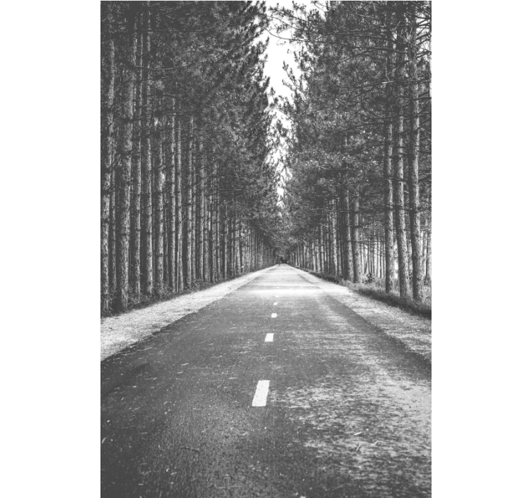 Tenda a rullo sentiero forestale sereno - TenStickers