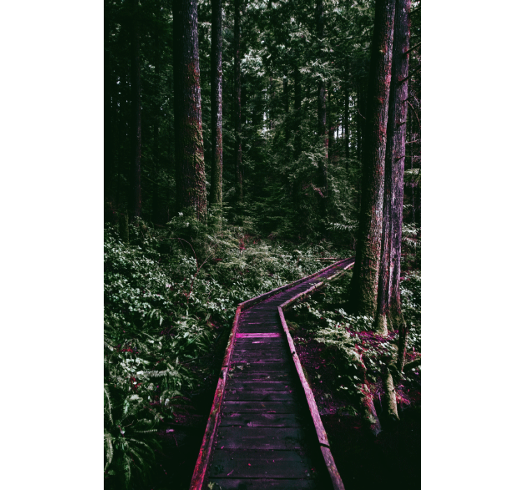 Tenda a rullo alberi sentiero forestale - TenStickers