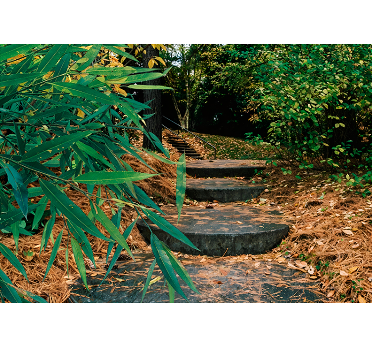 Tenda a rullo con foresta verde - TenStickers