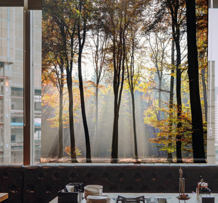 Tenda a rullo alberi scena di foresta illuminata dal sole - TenStickers