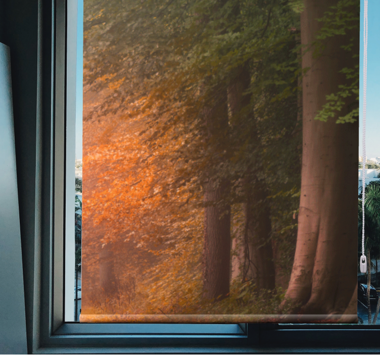 Tenda a rullo con foresta autunnale - TenStickers