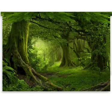 Tenda a rullo alberi fuga nel bosco lussureggiante - TenStickers