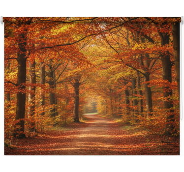 Tenda a rullo alberi sentiero autunnale - TenStickers