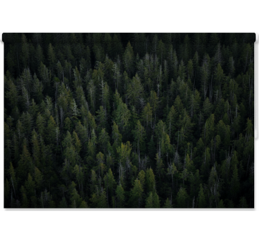 Tenda a rullo alberi texture boschiva profonda - TenStickers