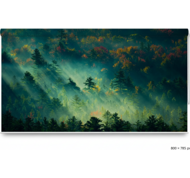 Tenda a rullo alberi la foresta melanconica - TenStickers