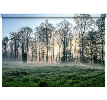 Tenda a rullo alberi prato mattutino nebbioso - TenStickers