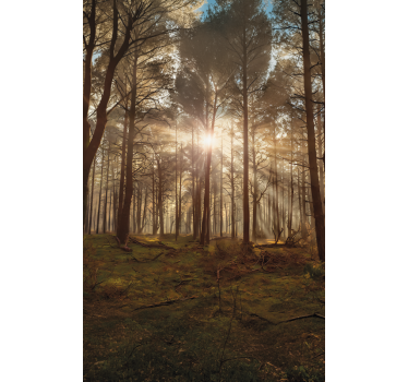 Tenda a rullo alberi salotto faunistico dorato - TenStickers