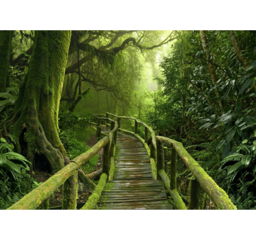 Tenda a rullo alberi sentiero muschioso lussureggiante - TenStickers