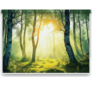 Tenda a rullo alberi murale betulla baciata dal sole - TenStickers