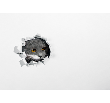 Tenda a rullo bianca gattino carino - TenStickers