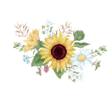 Tenda a rullo bianca girasoli e margherite - TenStickers
