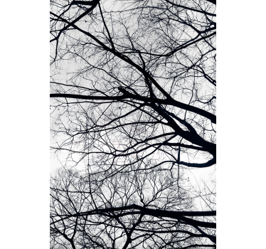 Tenda a rullo albero Bianco e grigio - TenStickers