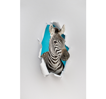 Tende a rullo animali diversi Zebra - TenStickers