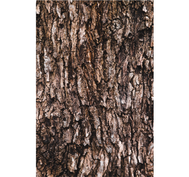 Tenda a rullo fiori e piante Corteccia d'albero realistica - TenStickers