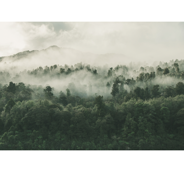 Tenda a rullo alberi nebbia lussureggiante della foresta - TenStickers