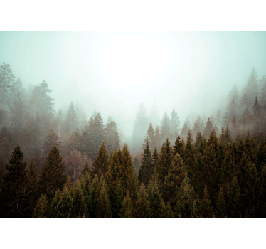 Tenda a rullo alberi vista della foresta nebbiosa - TenStickers