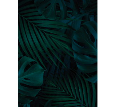 Tenda a rullo alberi motivi di foglie tropicali - TenStickers