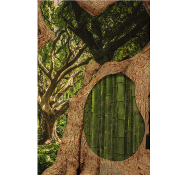 Tenda a rullo alberi scena di foresta di bambù - TenStickers