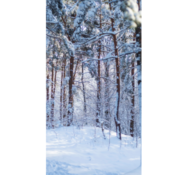 Tenda a rullo alberi foresta di pini innevati - TenStickers