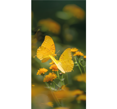 Tenda a rullo farfalle ali gialle realistiche - TenStickers