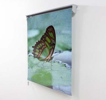 Tende a rullo farfalla Volare sull'acqua - TenStickers