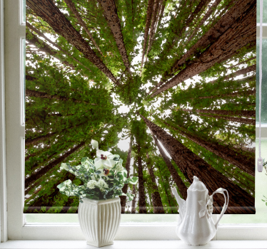 Tenda a rullo alberi design del baldacchino alto - TenStickers