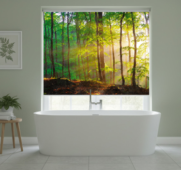 Tenda a rullo alberi luce naturale nel bosco - TenStickers
