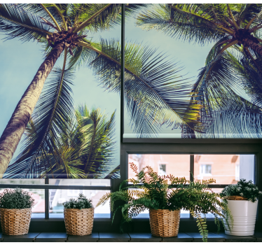 Tenda a rullo alberi lussureggiante chioma di palme - TenStickers