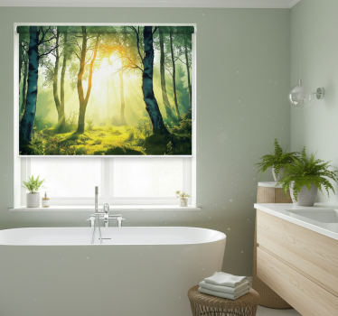 Tenda a rullo alberi murale betulla baciata dal sole - TenStickers