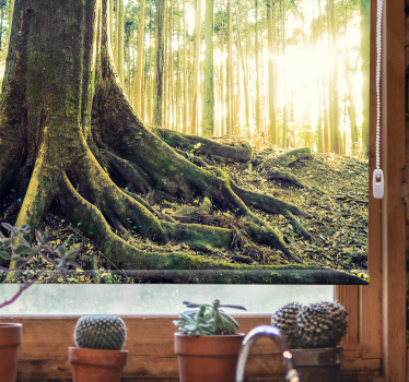 Tenda a rullo alberi radici maestose della foresta - TenStickers