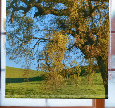 Tenda a rullo con paesaggio verde - TenStickers