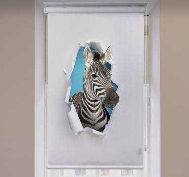 Tende a rullo animali diversi Zebra - TenStickers