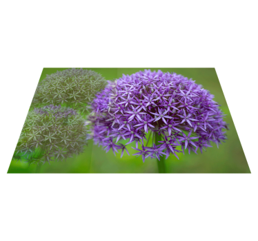 Tovaglietta americana fiori viola vibranti - TenStickers