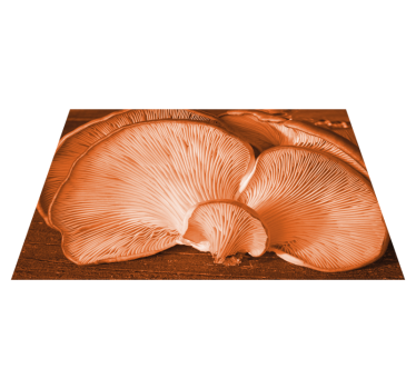 Tovaglietta americana elementi da cucina funghi - TenStickers