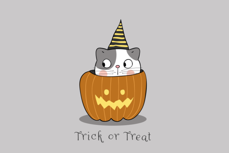 Tovagliette americana halloween gatto nella zucca - TenStickers