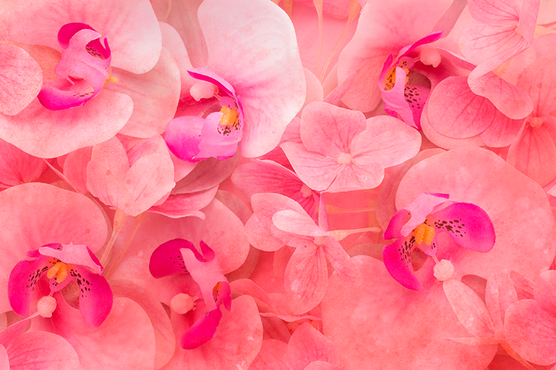 Tovaglietta americana composizione fiore elegante - TenStickers