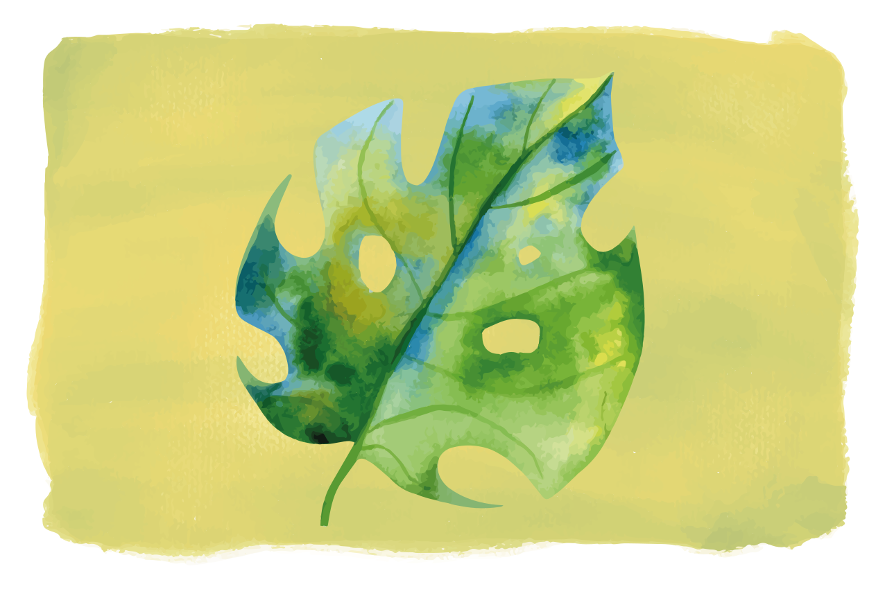 Tovaglietta americana originale design foglia di monstera - TenStickers