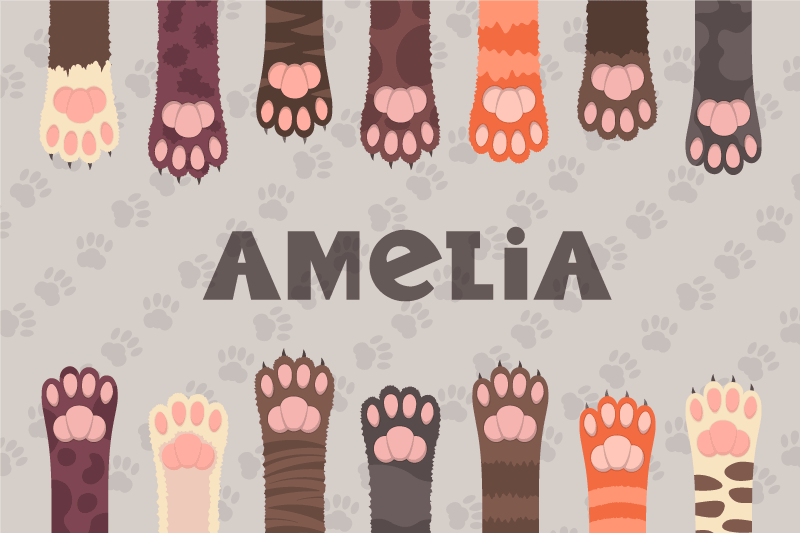 Tovaglietta americana con nome Soffici zampe di gatto multicolori - TenStickers