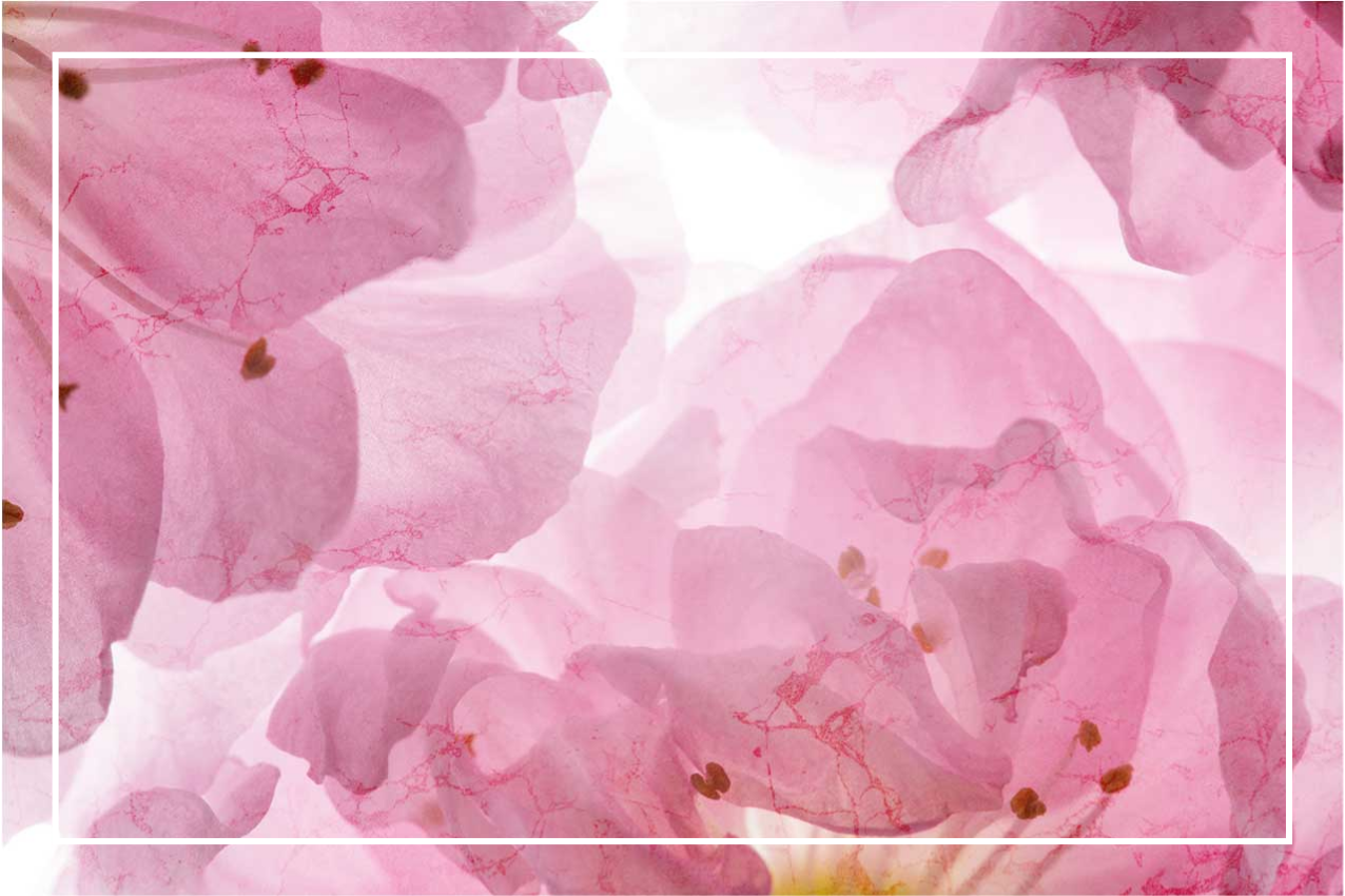 Tovaglietta americana elegante motivo floreale delicato - TenStickers