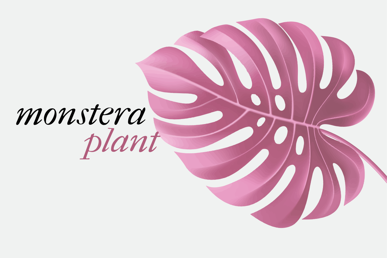 Tovaglietta americana originale motivo foglia di monstera - TenStickers