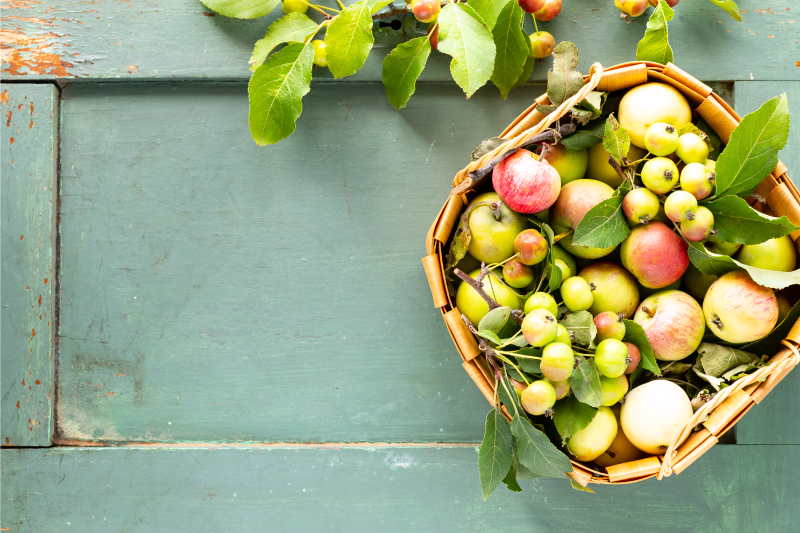 Tovaglietta colazione per casa composizione di frutta - TenStickers